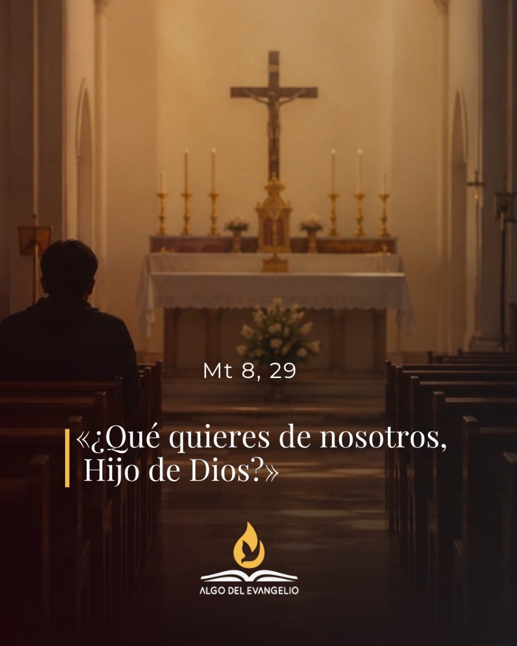 Miercoles durante el año