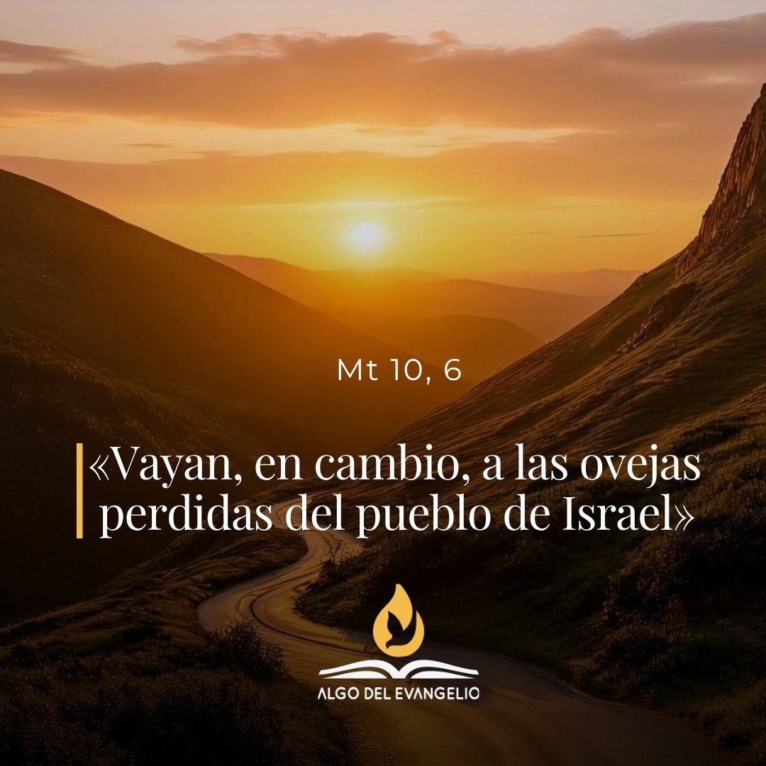 XIV Miercoles durante el año