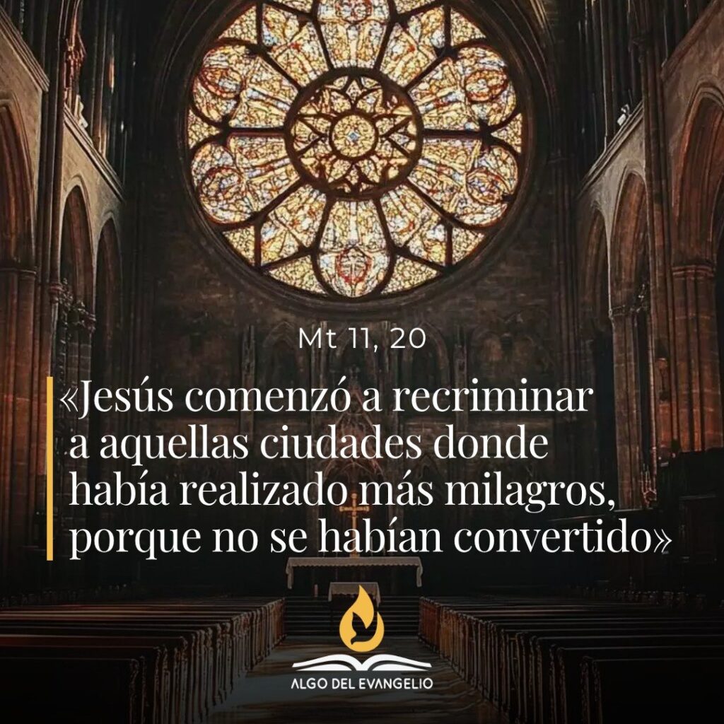 XV Martes durante el año