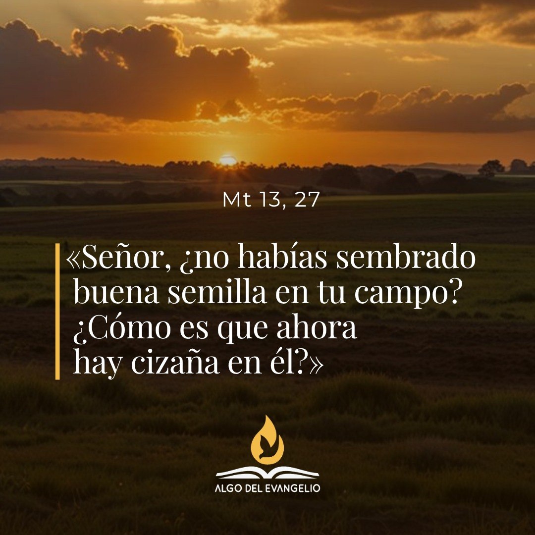 XVI Domingo durante el año