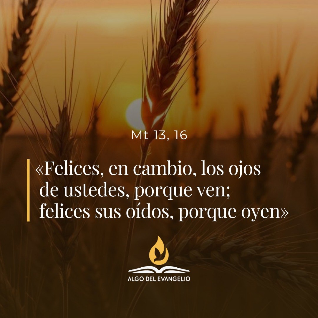 XVI Jueves durante el año