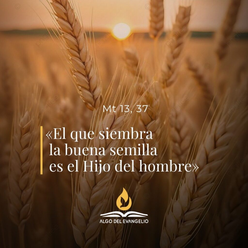 XVII Martes durante el año
