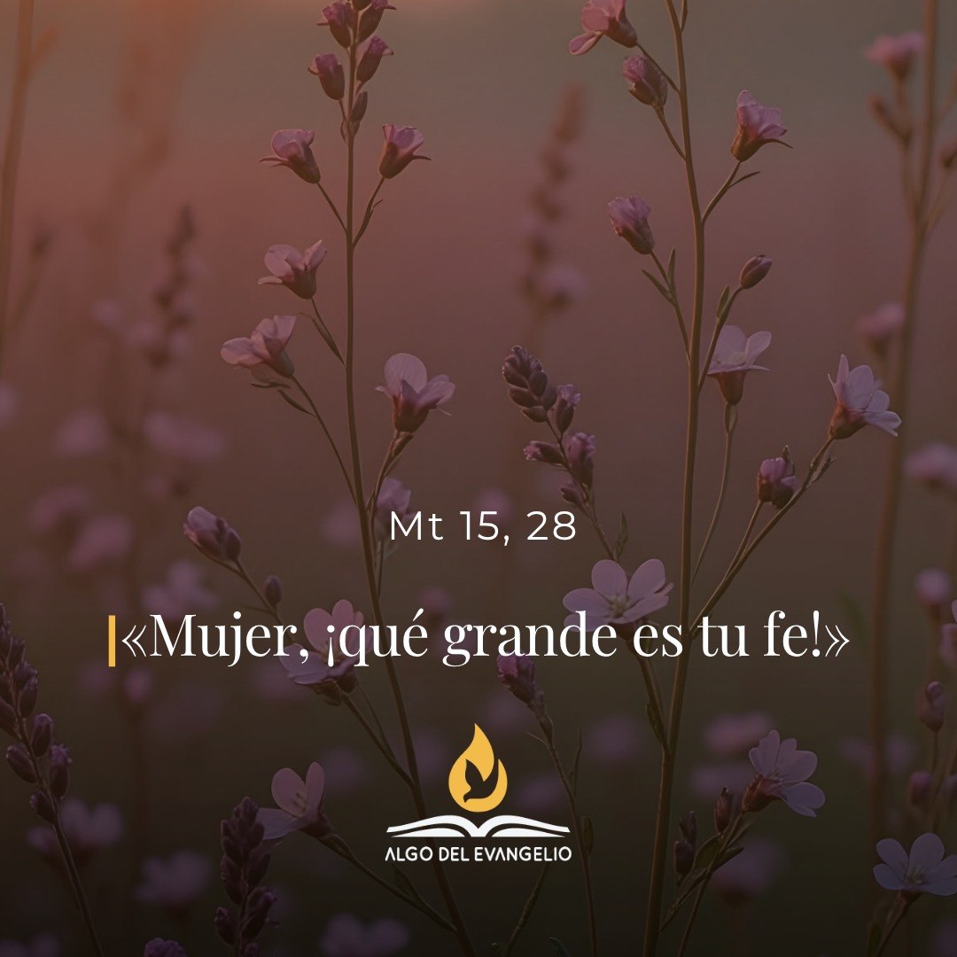 XVIII Miercoles durante el año
