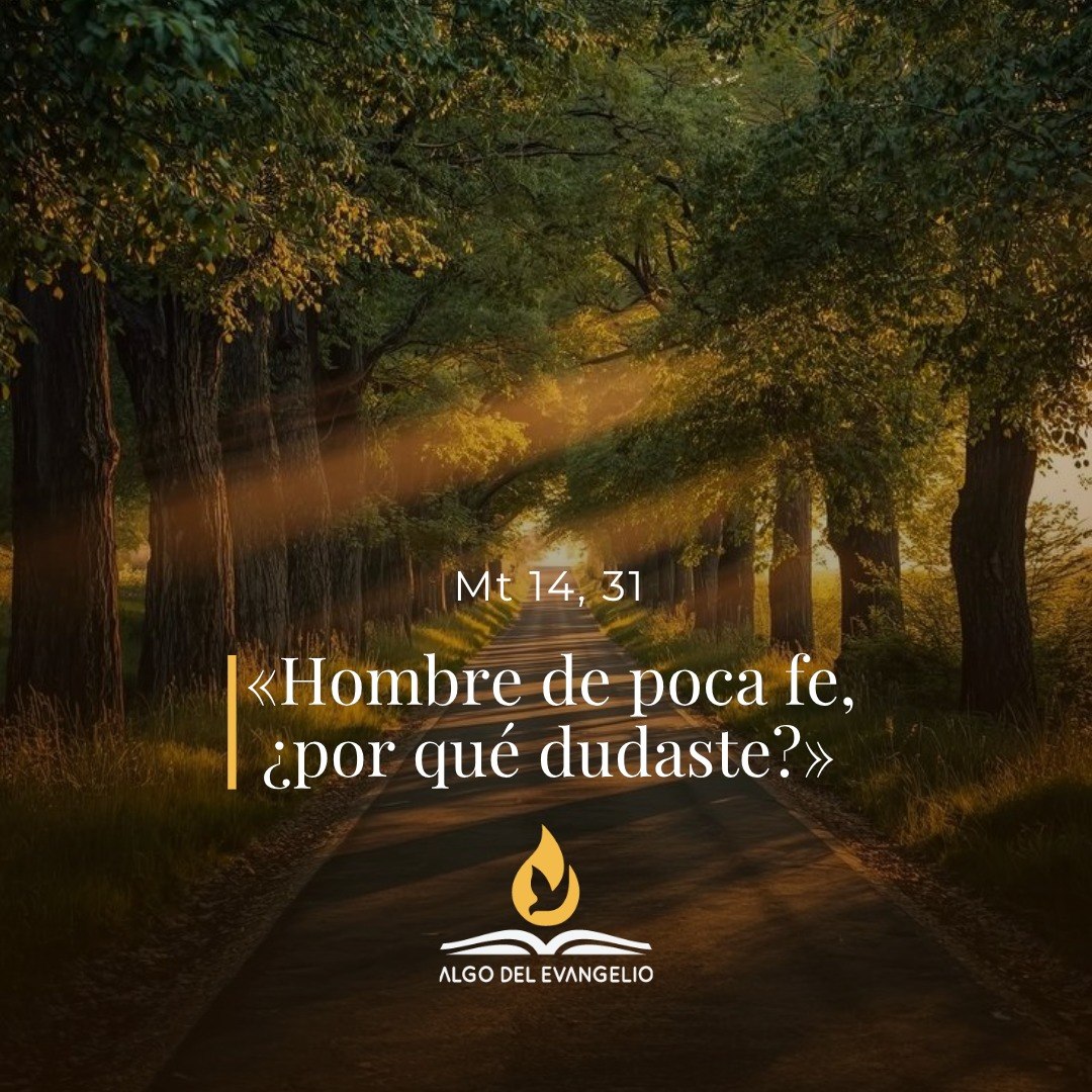 XIX Domingo durante el año