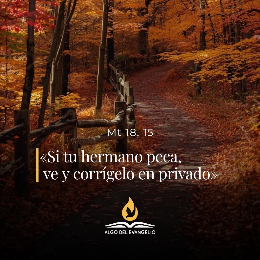 XIX Miércoles durante el año