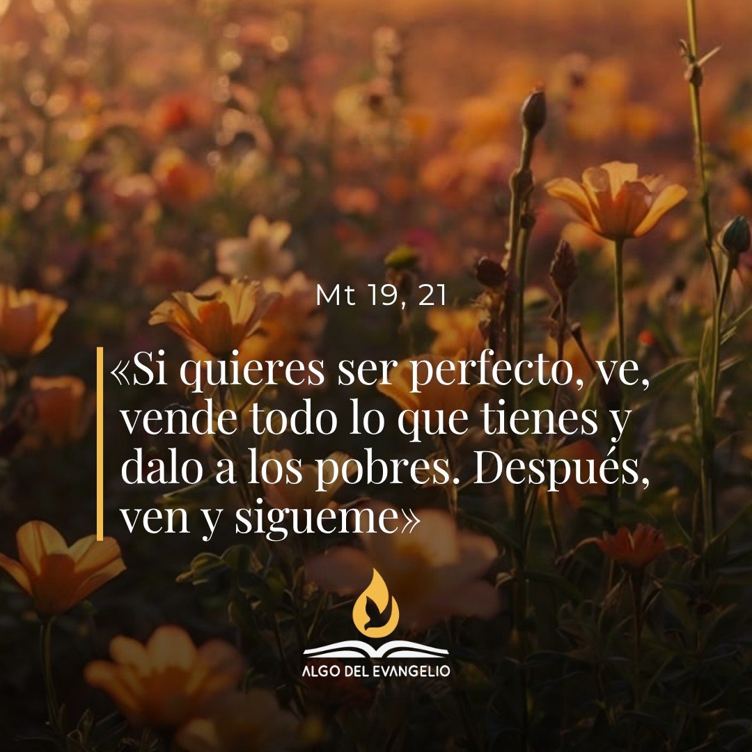 XX Lunes durante el año