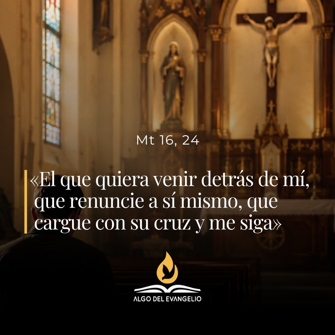 XXII Domingo durante el año