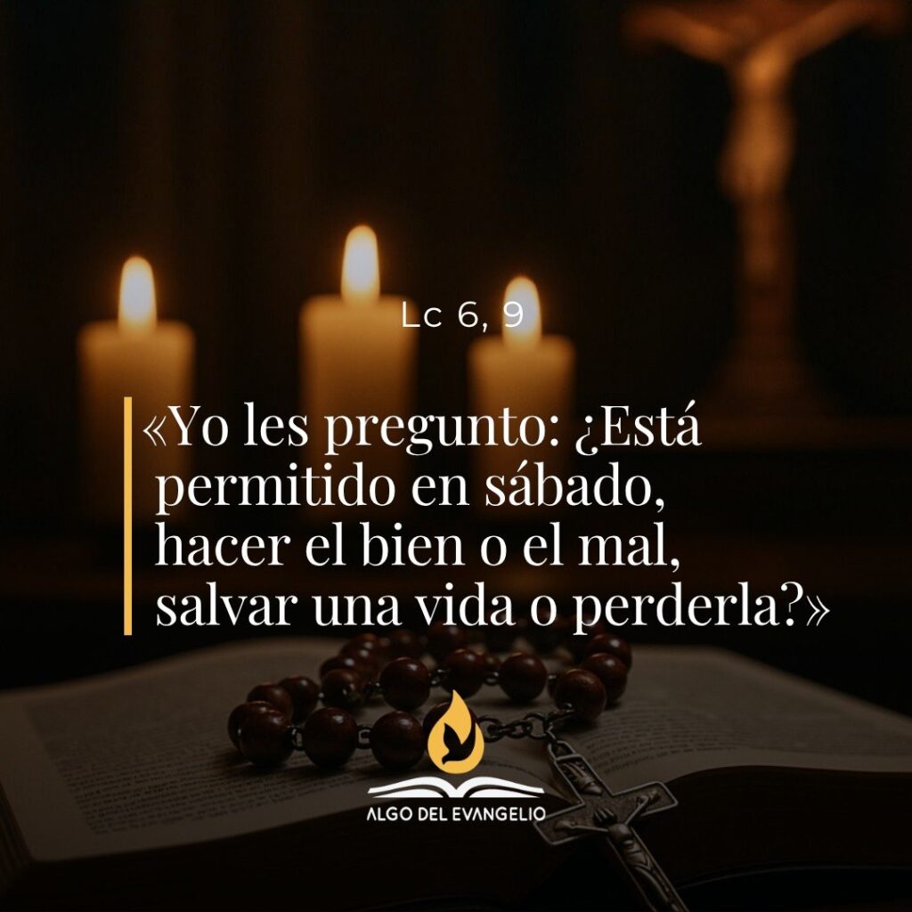 XXIII Lunes durante el año