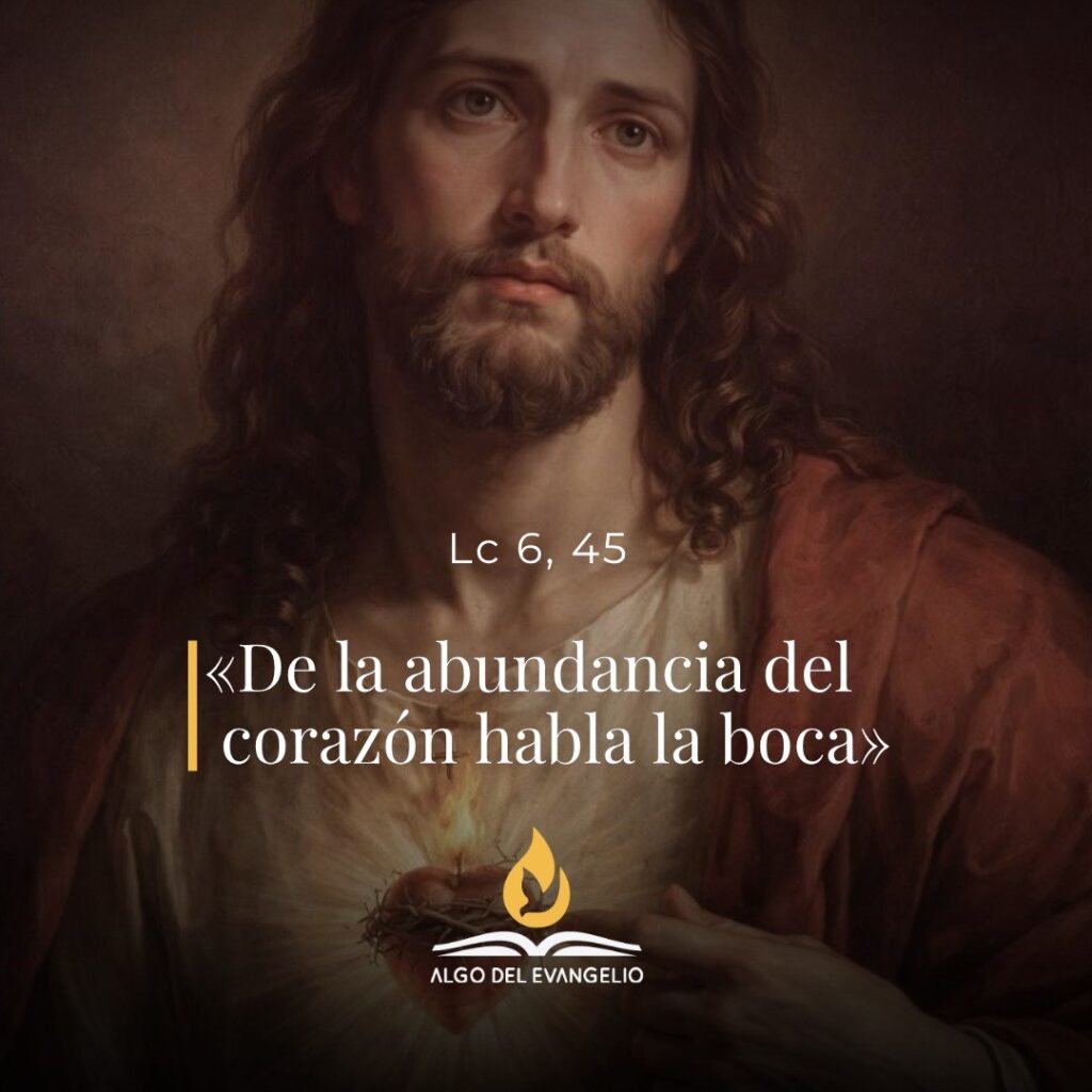XXIII Sábado durante el año