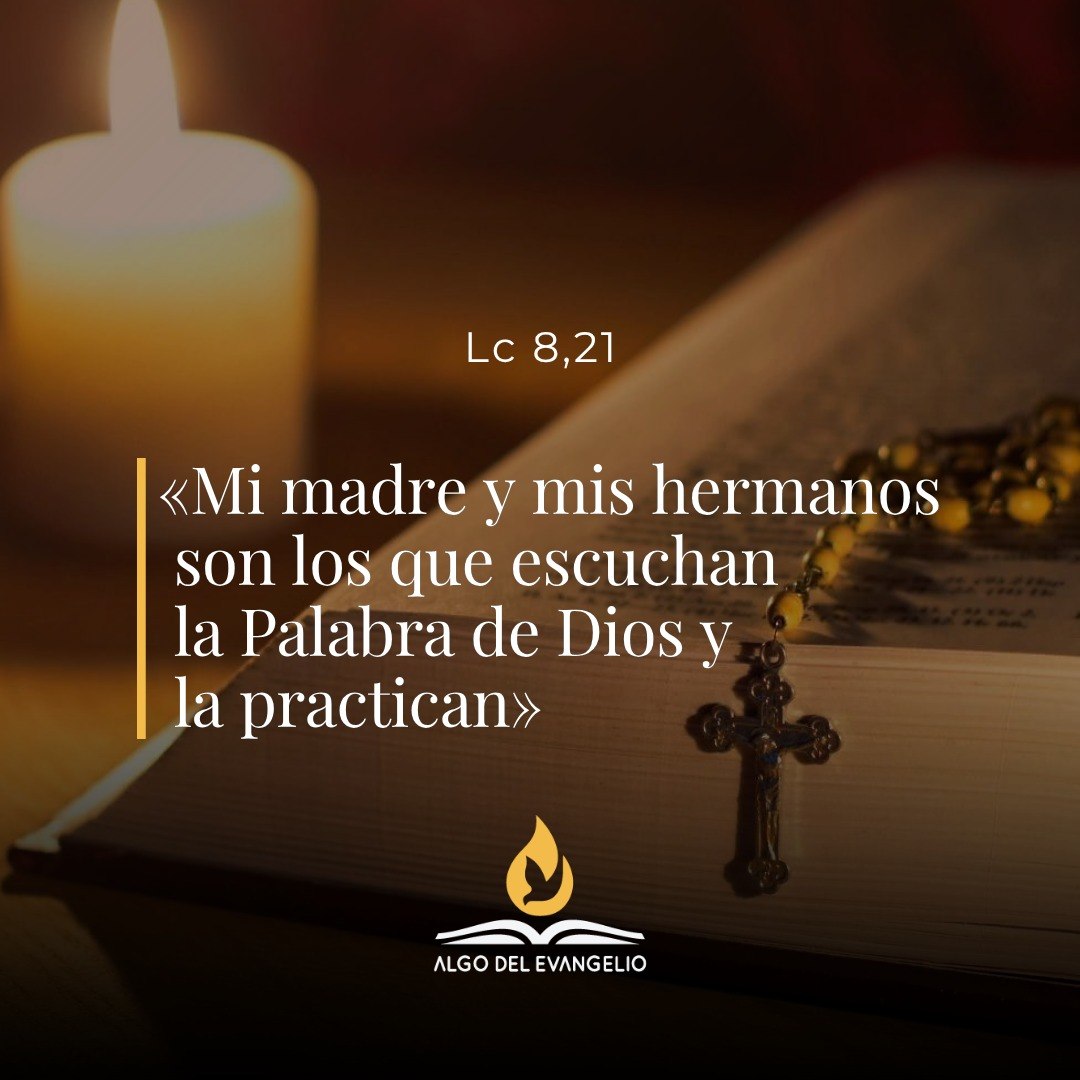 XXV Martes durante el año