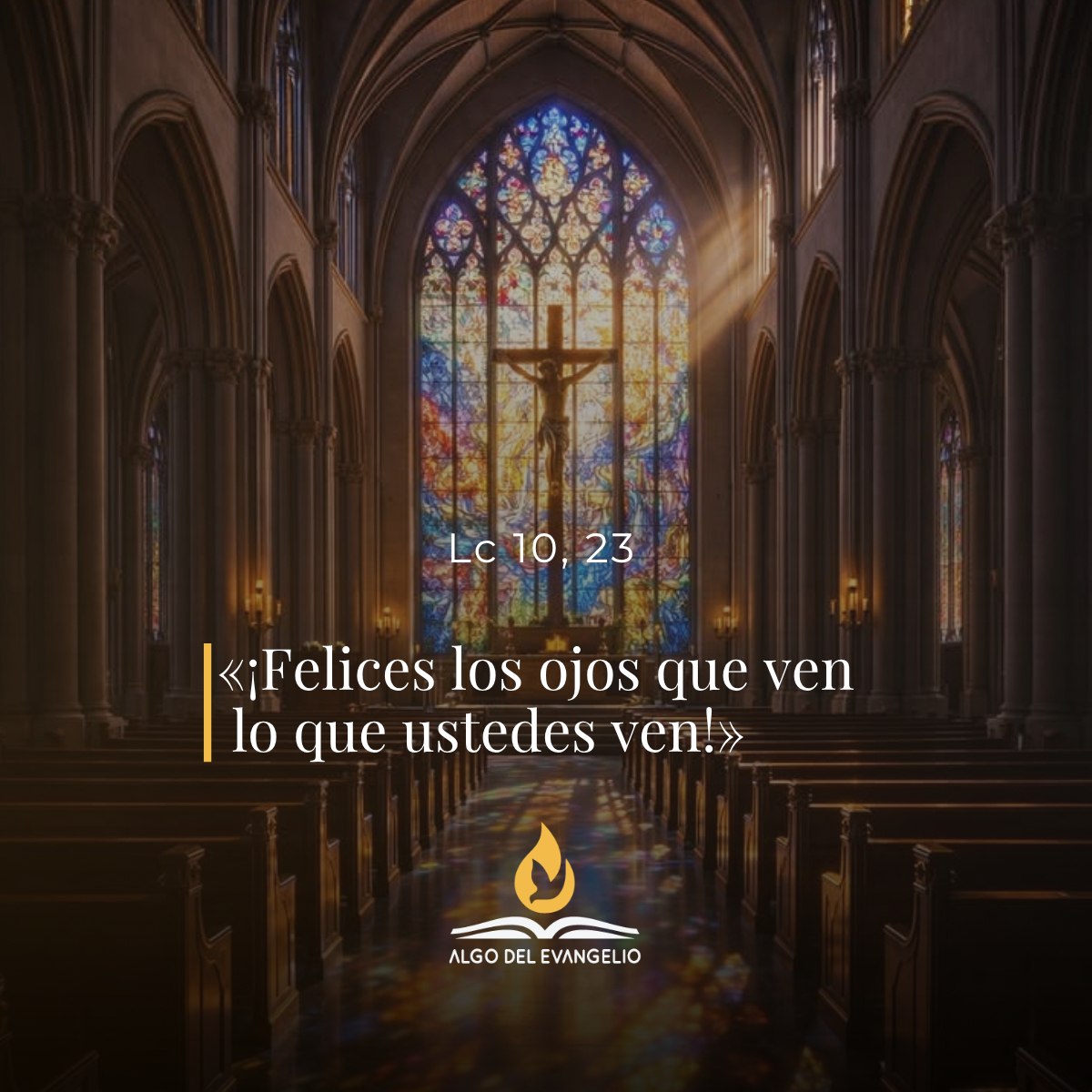 XXVI Sábado durante el año