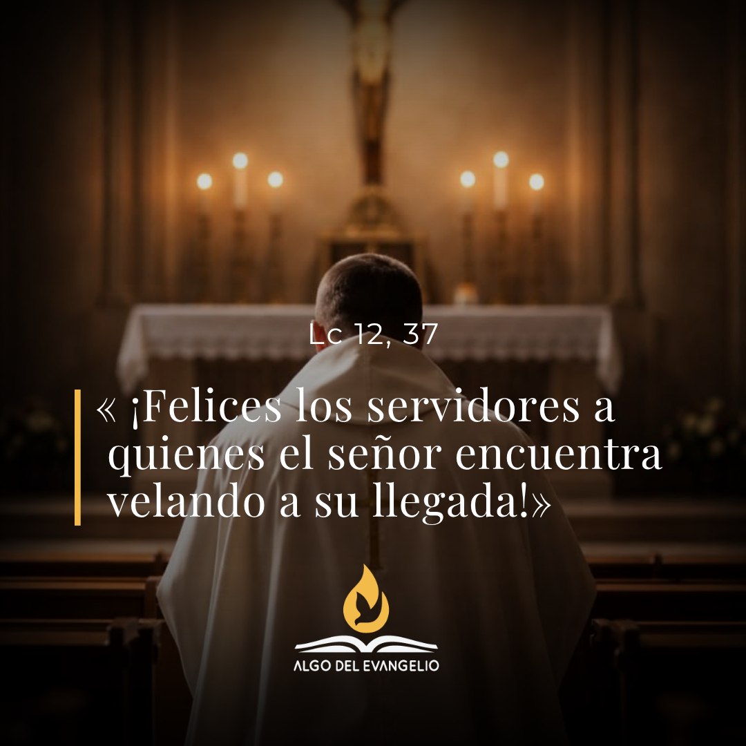 XXIX Martes durante el año