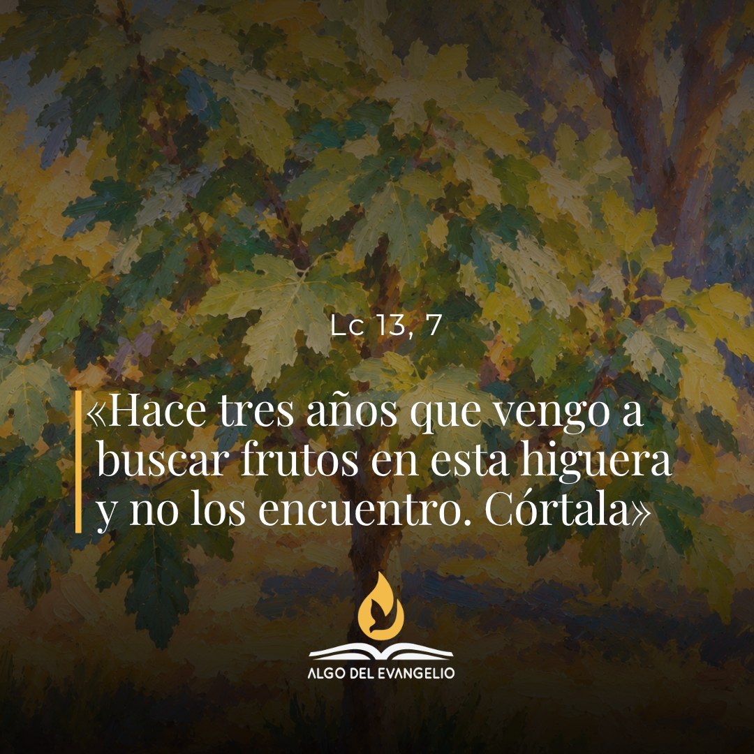 XXIX Sábado durante el año