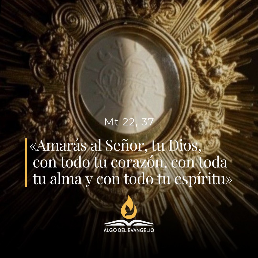 XXX Domingo durante el año